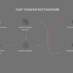 Domain Name Transfer Process