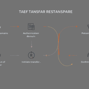 Domain Name Transfer Process