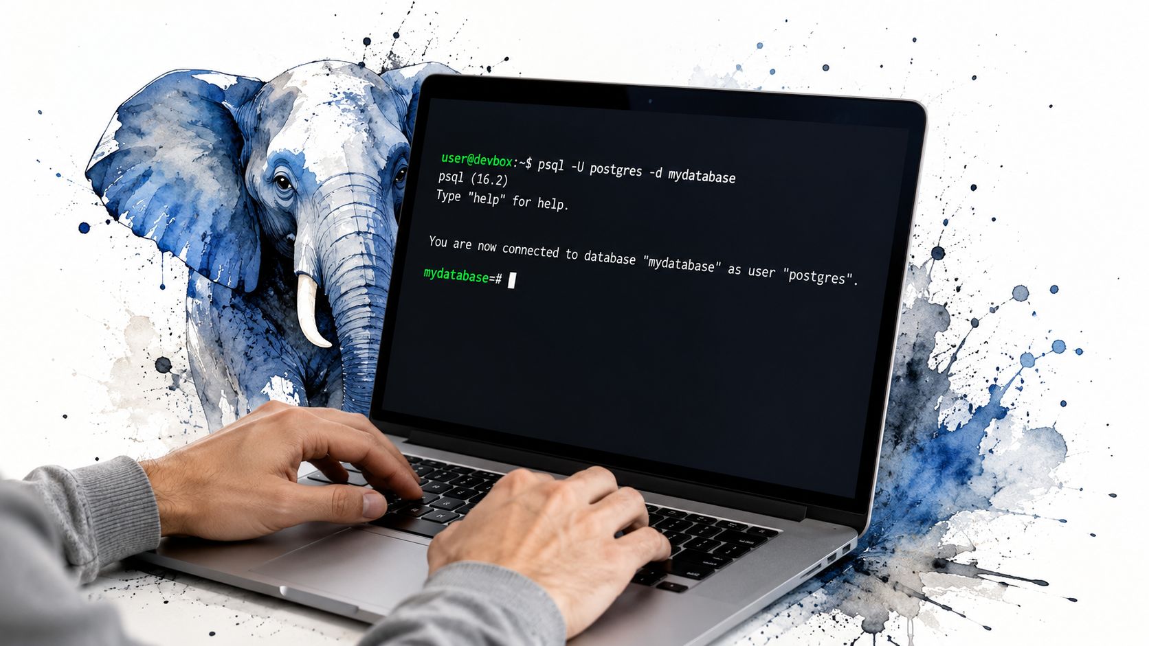A person using a laptop to connect to a PostgreSQL database, featuring artistic elephant illustration artwork.